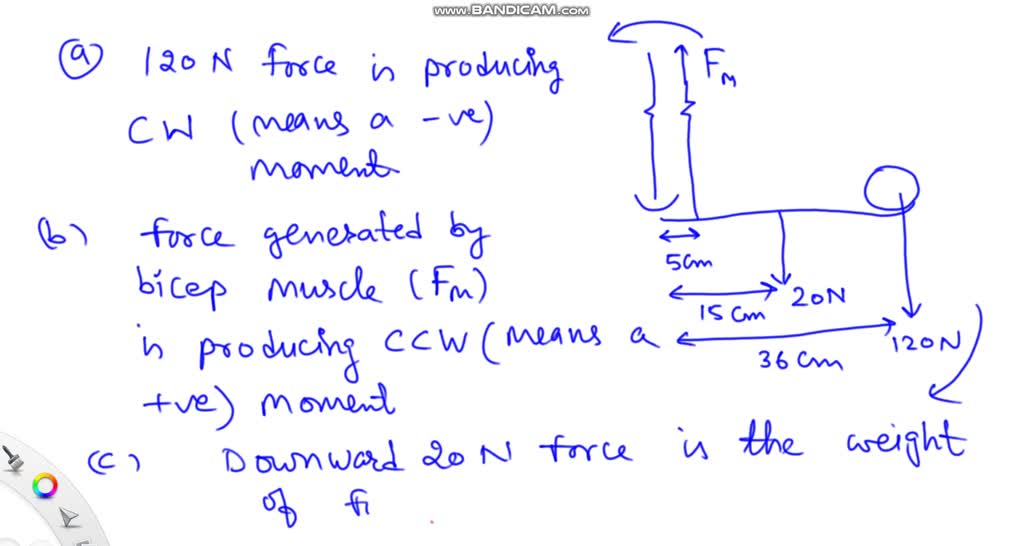 SOLVED: 'In the diagram below; Does the 120N force from the 12kg ball ...