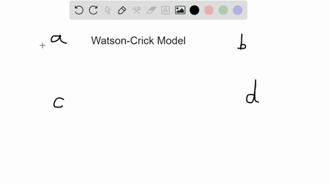 which-of-the-following-is-not-part-of-the-watson-crick-model-of-the-structure-of-dna-a-dna-is-compos-87417