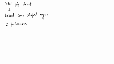 what-is-in-a-fetal-pig-heart-but-not-in-an-adult-pig-heart-86901