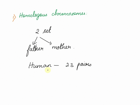 please-explain-all-of-these-3-diagrams-which-diagram-most-likely-represent-resulting-cells-from-meiosis-i-explain-your-answer-39019