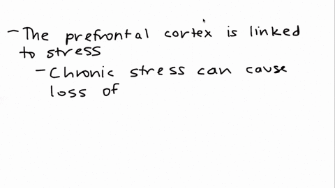when-we-study-the-effects-of-chronic-stress-on-human-health-most-of-our-chronic-stress-is-imaginary-meaning-its-made-up-by-our-imagination-and-conscious-thought-created-by-the-frontal-lobe-d-44169