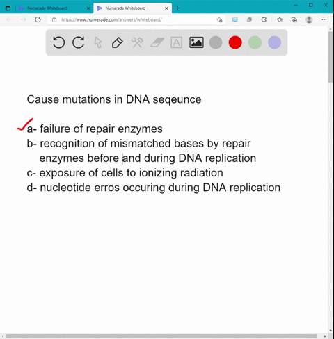 1-what-can-cause-mutations-in-the-dna-sequence-select-all-that-apply-a-failure-of-repair-enzymes-to-recognize-mismatched-nucleotides-before-and-during-dna-replication-b-recognition-of-mismat-38615