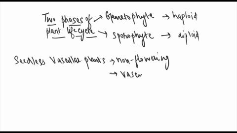 compare-the-gameotphytes-of-the-seedless-vascular-plants-to-the-gametophytes-of-the-bryophytes-42178