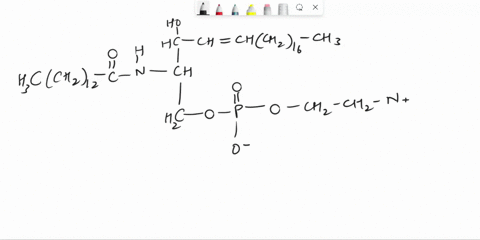 9-give-the-name-for-the-lipids-shown-below-what-larger-category-do-these-lipids-fall-into-what-is-the-function-of-these-lipids-in-the-body-hc-chhch-hcchc-hchc-il0-ch-hc-0-p-0-c-c-oh-hc-chzh6-53823