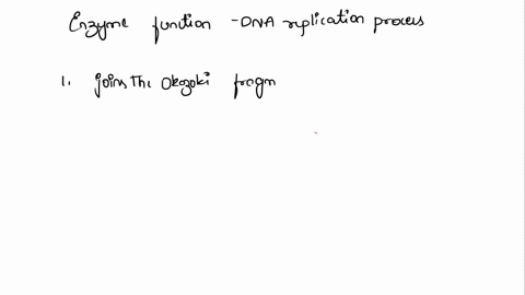 match-the-enzyme-with-its-function-during-the-dna-replication-process-joins-okazaki-fragments-of-the-lagging-strand-choose-synthesizes-new-dna-strand-by-adding-nucleotides-choose-synthesizes-17032