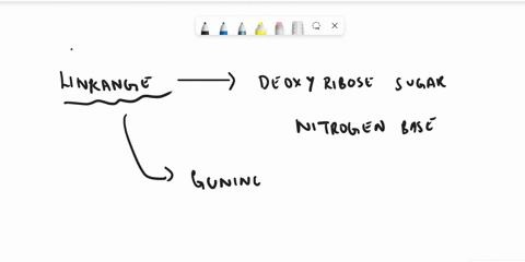 name-the-specific-components-and-the-linkage-between-them-that-form-deoxyadenosine-18155