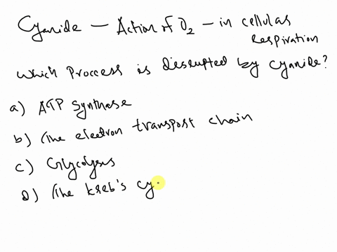 many-poisons-act-by-disrupting-metabolism-cyanide-inhibits-the-action-of-oxygen-in-cellular-respiration-this-means-that-cyanide-most-likely-disrupts-the-action-of-what-process-a-atp-synthase-64455