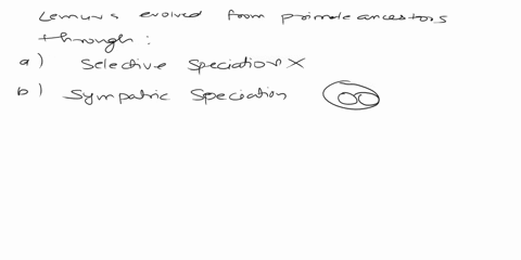 lemurs-evolved-from-primate-ancestors-through-choose-best-answer-selective-speciation-sympatric-speciation-dispersive-speciation-allopatric-speciation-53208