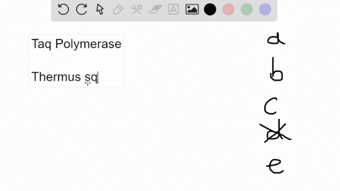 why-is-taq-polymerase-used-in-mathrmpcr-rather-than-other-dna-polymerases-a-taq-polymerase-is-a-synt-87685