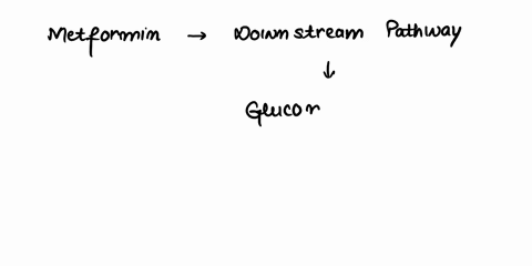 pathway-specific-discussion-in-the-initial-stages-of-the-disease-type-2-diabetes-is-treated-with-metformin-only-and-insulin-is-not-needed-in-later-years-insulin-treatment-is-often-needed-exp-51048