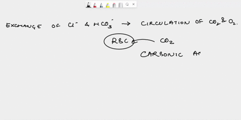 why-do-we-see-cl-ions-moving-into-the-cell-when-hcomove-out-or-why-does-na-or-k-come-in-when-h-goes-out-of-the-cell-dits-the-only-way-to-move-substances-across-a-membrane-naneeds-to-combine-12142