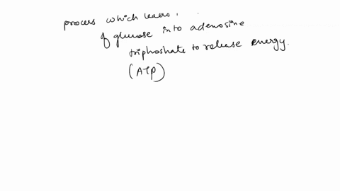 cellular-respiration-is-the-process-involved-in-the-breakdown-of-glucose-molecules-in-order-to-generate-energy-for-cellular-activities-given-the-general-reaction-below-which-of-the-following-44973