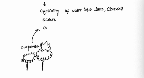 two-ways-water-travels-from-land-to-enter-the-ocean-33671