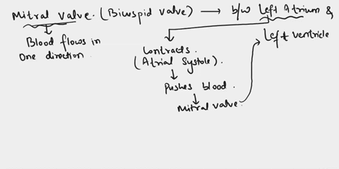 which-of-the-following-statements-is-correct-concerning-the-mitral-valve-question-12-options-pectinate-muscles-help-open-this-valve-by-pulling-down-on-the-chordae-tendineae-this-valve-closes-59647