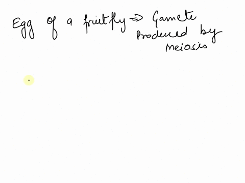 the-egg-of-a-fruit-fly-has-4-individual-chromosomes-how-many-chromosomes-are-in-a-somatic-body-cell-of-a-fruit-fly-69385