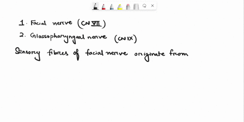 name-two-cranial-nerves-involved-in-the-sense-of-taste-and-describe-where-their-sensory-fibers-originate-31209