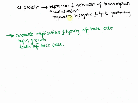 a-mutation-occurs-to-the-ci-protein-of-bacteriophage-lambda-such-that-it-is-inactive-what-type-of-growth-would-you-expect-from-the-mutated-bacteriophage-why-14307
