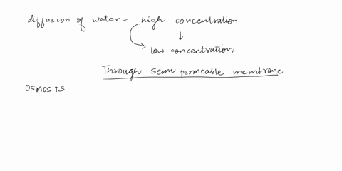 is-the-diffusion-of-water-across-a-selectively-permeable-membrane-from-an-area-of-high-concentration-of-water-to-an-area-of-low-concentration-point-03132
