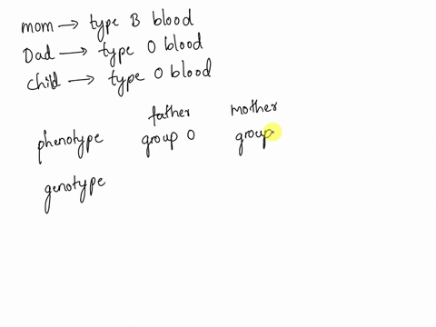 mom-has-type-b-blood-dad-has-type-o-blood-they-have-a-child-with-type-o-blood-make-a-punnett-square-to-show-what-moms-genotype-must-be-to-have-a-child-with-type-o-blood-no-links-please-93662