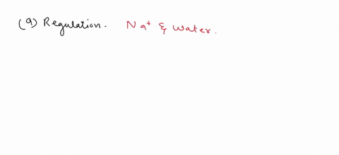which-of-the-following-is-not-a-function-of-the-kidneys-o3-waste-removal-from-blood-4-formation-of-plasma-proteins-64017