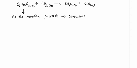 worksheet-reaction-rates-use-this-reaction-for-the-questions-below-chos6og6hog6cog-1what-happens-to-the-concentrations-of-achzooas-the-reaction-proceeds-bhocoas-the-reaction-proceeds-2accord-57963