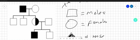 Civity 1: