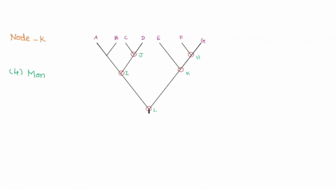 question-6-1pts-in-the-phylogenetic-tree-shown-below-what-does-the-node-labeled-with-k-represent-a-b-c-d-e-f-g-j-ka-l-a-characteristic-that-differentiates-species-e-from-species-f-and-g-the-00135