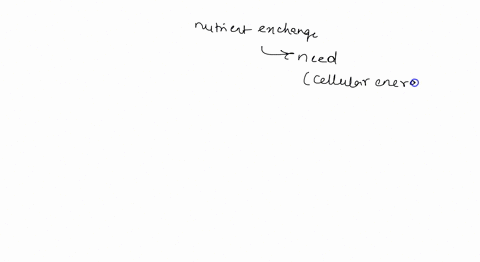 what-type-of-nutrient-exchange-occurs-without-the-need-for-cellular-energy-09044