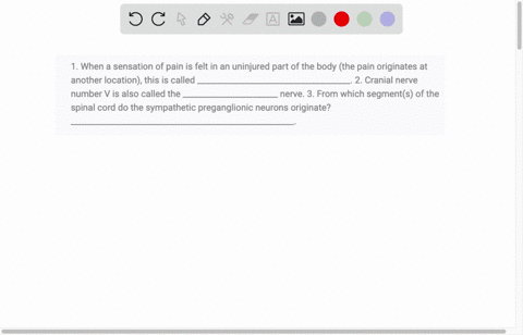 1-when-a-sensation-of-pain-is-felt-in-an-uninjured-part-of-the-body-the-pain-originates-at-another-location-this-is-called-_____________________________________-2-cranial-nerve-number-v-is-a-42888