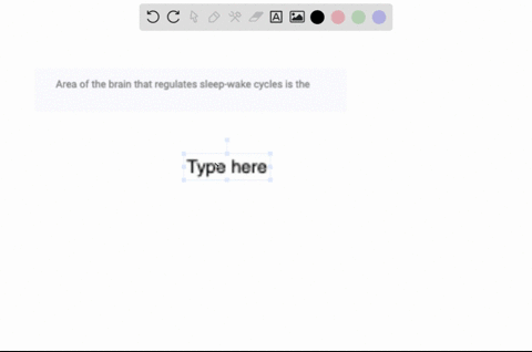 area-of-the-brain-that-regulates-sleep-wake-cycles-is-the-93875