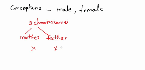 explain-what-would-be-the-consequence-on-the-chromosomes-found-in-the-gametes-if-crossing-over-did-not-occur-during-meiosis-8-explain-why-at-the-time-of-conception-the-odds-of-getting-a-fema-89313
