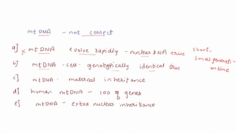 which-of-the-following-statements-about-mtdna-isare-not-correct-a-mtdna-evolves-more-rapidly-than-nuclear-dna-ball-mitochondia-within-a-cell-are-genotypically-identical-cmtdna-shows-maternal-59733