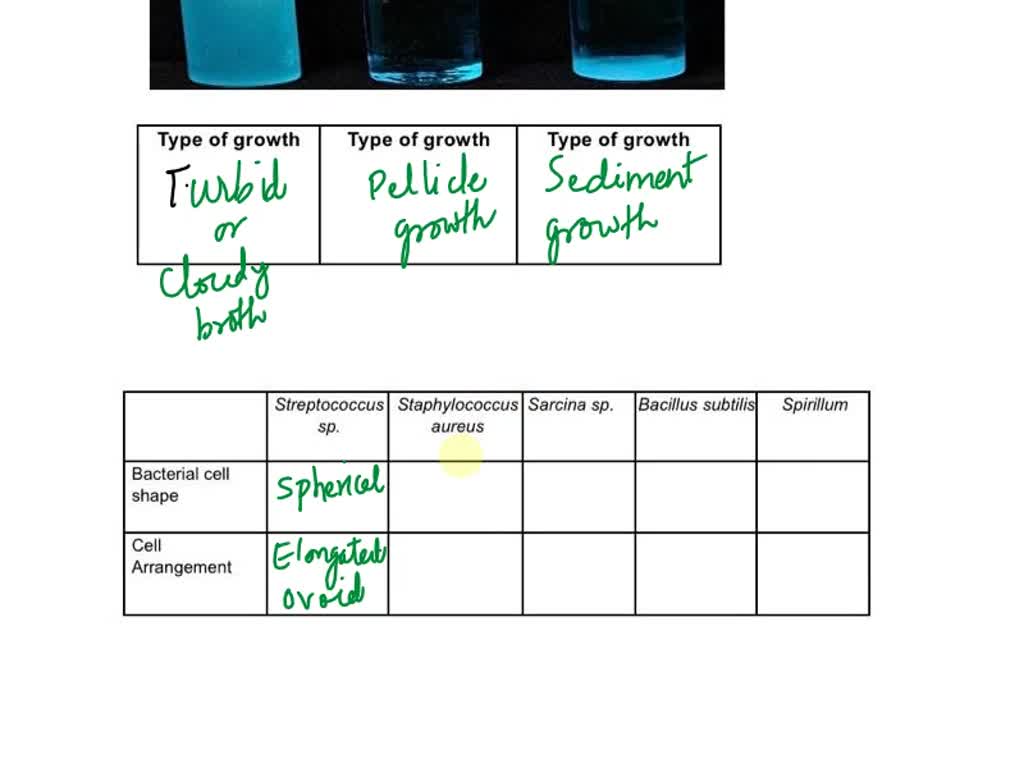 SOLVED: Describe the growth seen in each of the three broth cultures ...