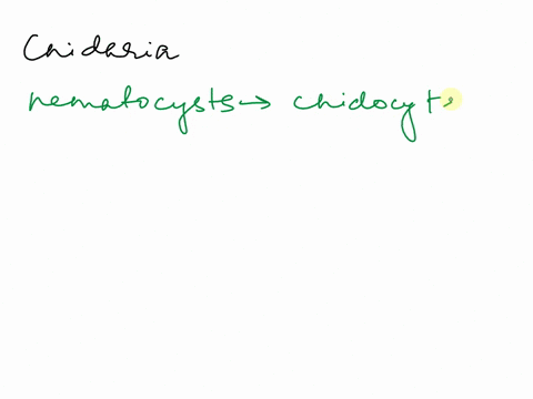 key-cnidocytes-gastrovascular-polyp-entacles-medusa-marine-radial-hydrostatic-cnidaria-refers-t0-harmful-stinging-cells-located-on-which-bring-food-to-the-mouth-cnidocytes-cnido-nettle-cyte-40632