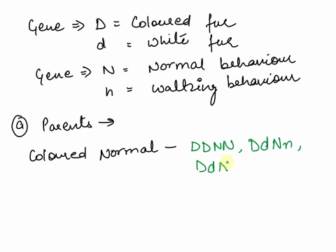 in-mice-the-gene-d-for-colored-fur-is-dominant-over-its-allele-d-for-white-fur-on-another-chromosome-the-gene-n-for-normal-behavior-is-dominated-over-its-allele-n-for-waltzing-behavior-give-82295
