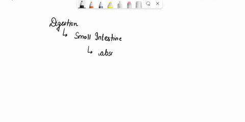 most-digestion-takes-place-in-astomach-bliver-csmall-intestine-dlarge-intestine-egall-bladder-02805