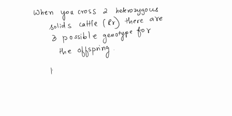 in-holstein-cattle-the-allele-for-solid-coat-color-r-is-autosoal-dominant-over-the-allele-for-spotted-coat-coors-rr-if-you-cross-two-heterozygus-solid-cattle-what-are-the-possible-genotypes-57205