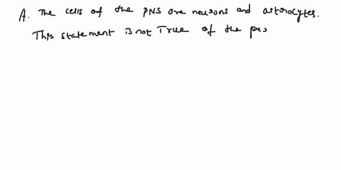 which-statement-is-not-true-of-the-peripheral-nervous-system-pns-a-the-cells-of-the-pns-are-neurons-and-astrocytes-b-the-autonomic-nervous-system-is-part-of-the-pns-c-sensory-and-motor-neuro-68635