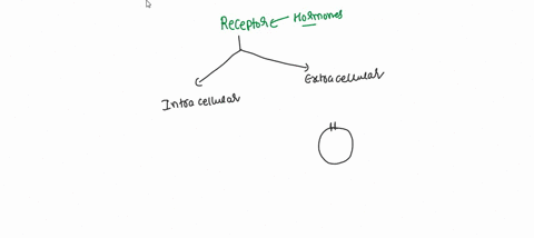 intracellular-hormone-receptors-are-normally-found-in-____________-and-______________of-the-cell-scytoplasm-plasma-membrane-cytoplasm-nucleus-nucleus-plasma-membrane-ribosome-cytoplasm-48973
