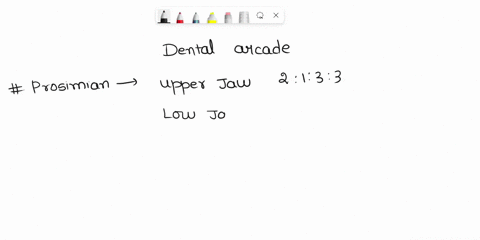 examine-the-dental-arcade-of-the-primates-set-out-by-your-instructor-count-the-tooth-types-and-fill-in-the-dental-formulae-in-the-following-table-for-these-or-similar-primates-animal-dental-72808