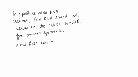 positive-sense-rna-viruses-have-genetic-material-that-is-_____________-a-read-as-double-stranded-dna-b-the-same-reading-structure-as-mrna-c-complementary-to-mrna-d-converted-to-dna-before-it-63629