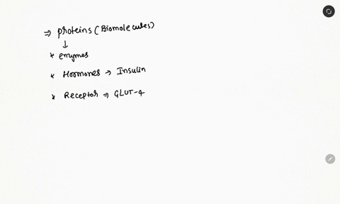 enzymes-are-an-example-of-proteins-list-some-other-types-of-proteins-54456