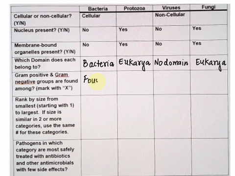 please-fill-in-the-chart-below-bacteria-_-cellular-protozoa-viruses-non-cellular-fung-cellular-non-cellular-yini-nucleus-present-yin-yes-yes-membrane-bound-organelles-present-yin-which-domai-60107
