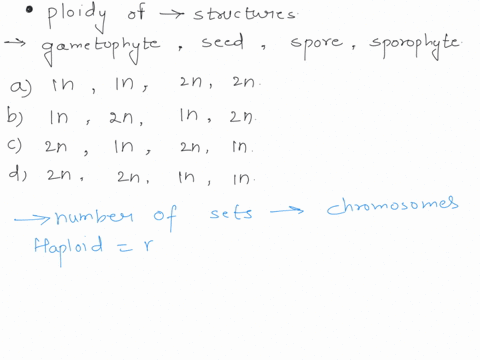 what-is-the-ploidy-of-the-following-structures-gametophyte-seed-spore-sporophyte-a-1n-1n-2n-2n-b-1n-2n-1n-2n-c-2n-1n-2n-1n-d-2n-2n-1n-1n-45708