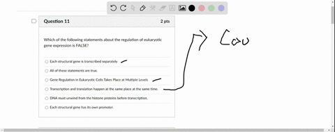 question-11-2-pts-which-of-the-following-statements-about-the-regulation-of-eukaryotic-gene-expression-is-false-each-structural-gene-is-transcribed-separately-all-of-these-statements-are-tru-51885