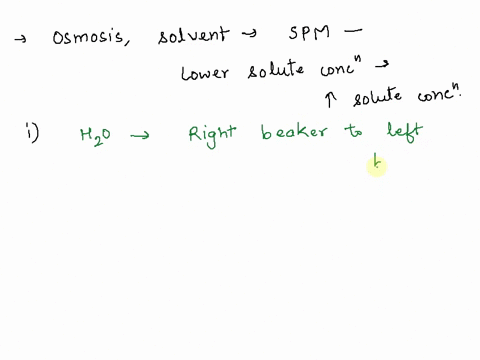 2-two-beakers-are-set-up-with-a-connecting-tube-that-contains-a-semipermeable-membrane-that-will-allow-water-molecules-to-pass-through-and-will-also-allow-fructose-molecules-to-pass-through-37563
