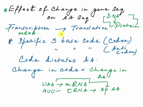 explain-how-a-change-in-the-sequence-of-nucleotides-in-a-gene-due-to-a-mutation-may-alter-the-sequence-of-amino-acids-in-the-protein-encoded-by-that-gene-11619