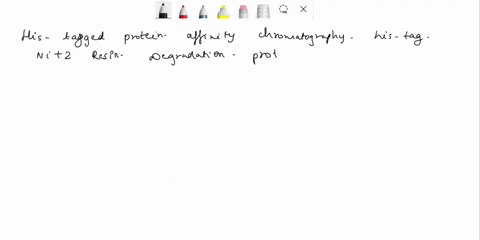 possible-protein-degradation-0010-point-graded-sometimes-degradation-physical-breakages-of-peptide-bonds-along-a-polypeptide-chain-of-the-hiss-tagged-protein-also-occurs-while-purifying-prot-02812