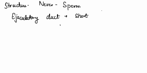 the-structure-that-never-has-sperm-in-it-is-the-______-vas-deferens-epididymis-seminal-vesicles-testes-ejaculatory-duct-43548