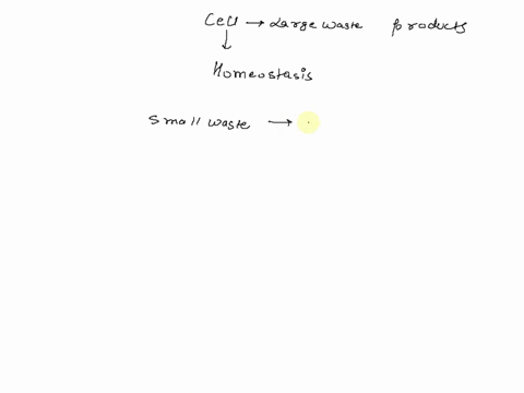 cells-produce-waste-materials-as-a-result-of-metabolism-how-do-cells-get-rid-of-the-largest-waste-materials-94342